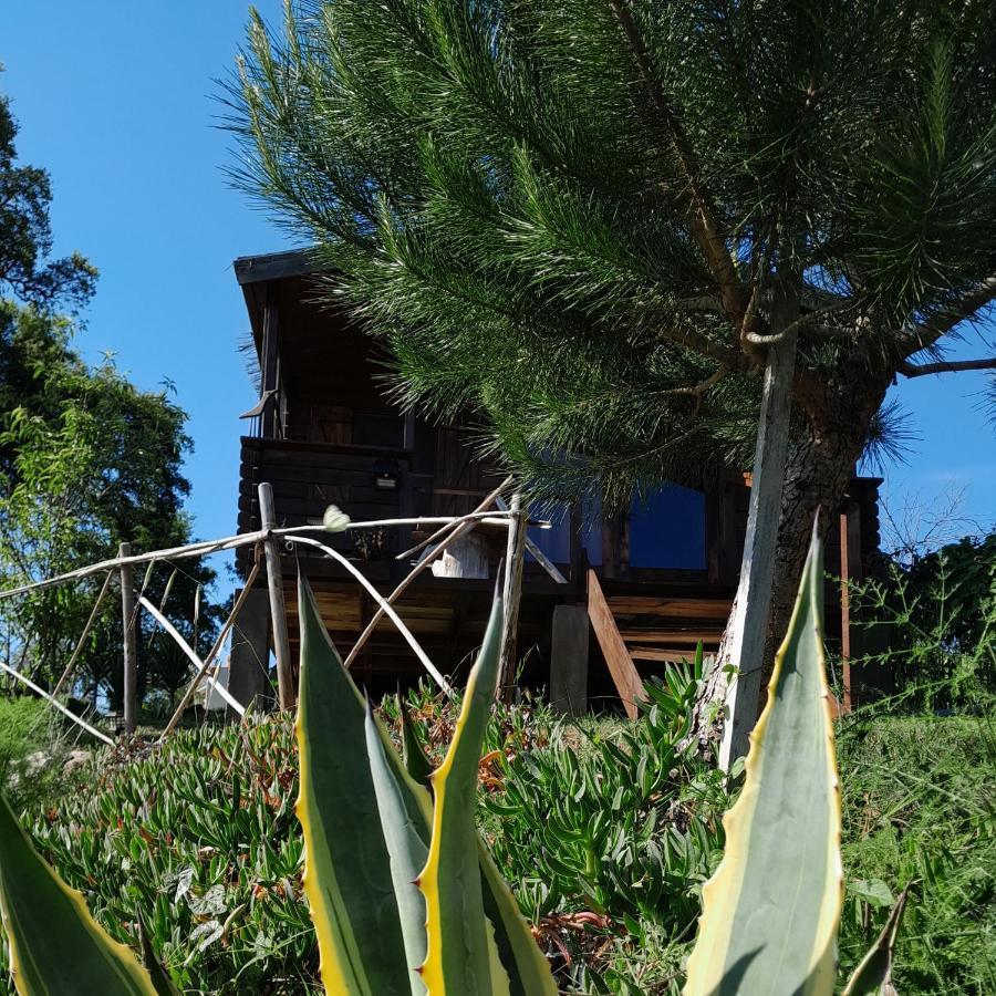 Bed and Breakfast Casa Do Sobreiro 2 Serra das Alhadas Екстер'єр фото