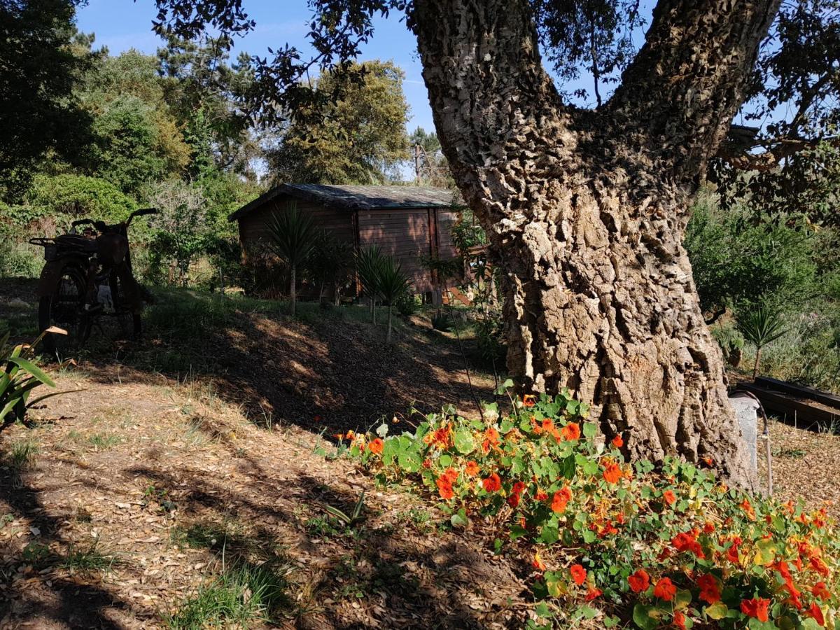 Bed and Breakfast Casa Do Sobreiro 2 Serra das Alhadas Екстер'єр фото
