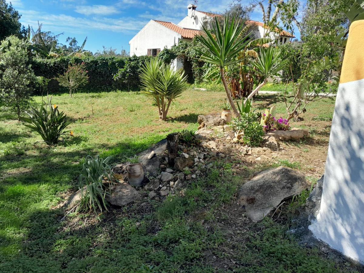 Bed and Breakfast Casa Do Sobreiro 2 Serra das Alhadas Екстер'єр фото